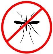 nomosquito2