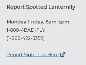 Report SLF Contact Number