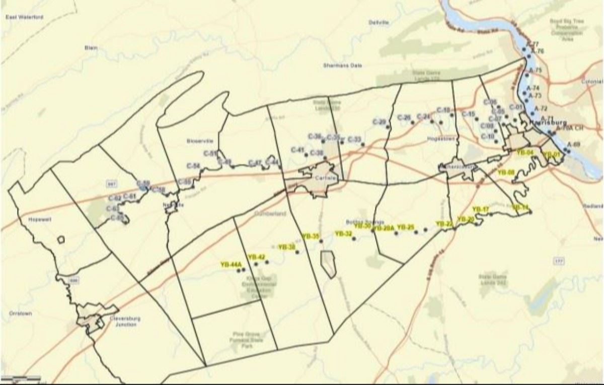 Black Fly 2025 All Sites