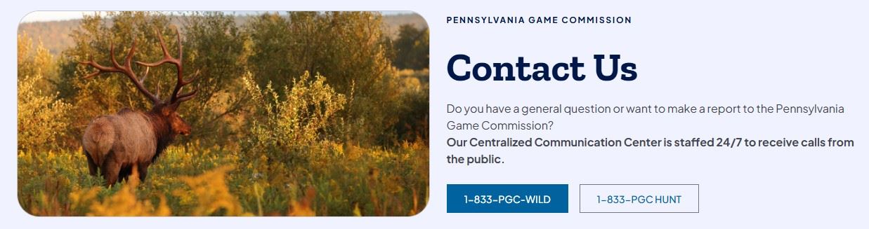 Screenshot Game Commission